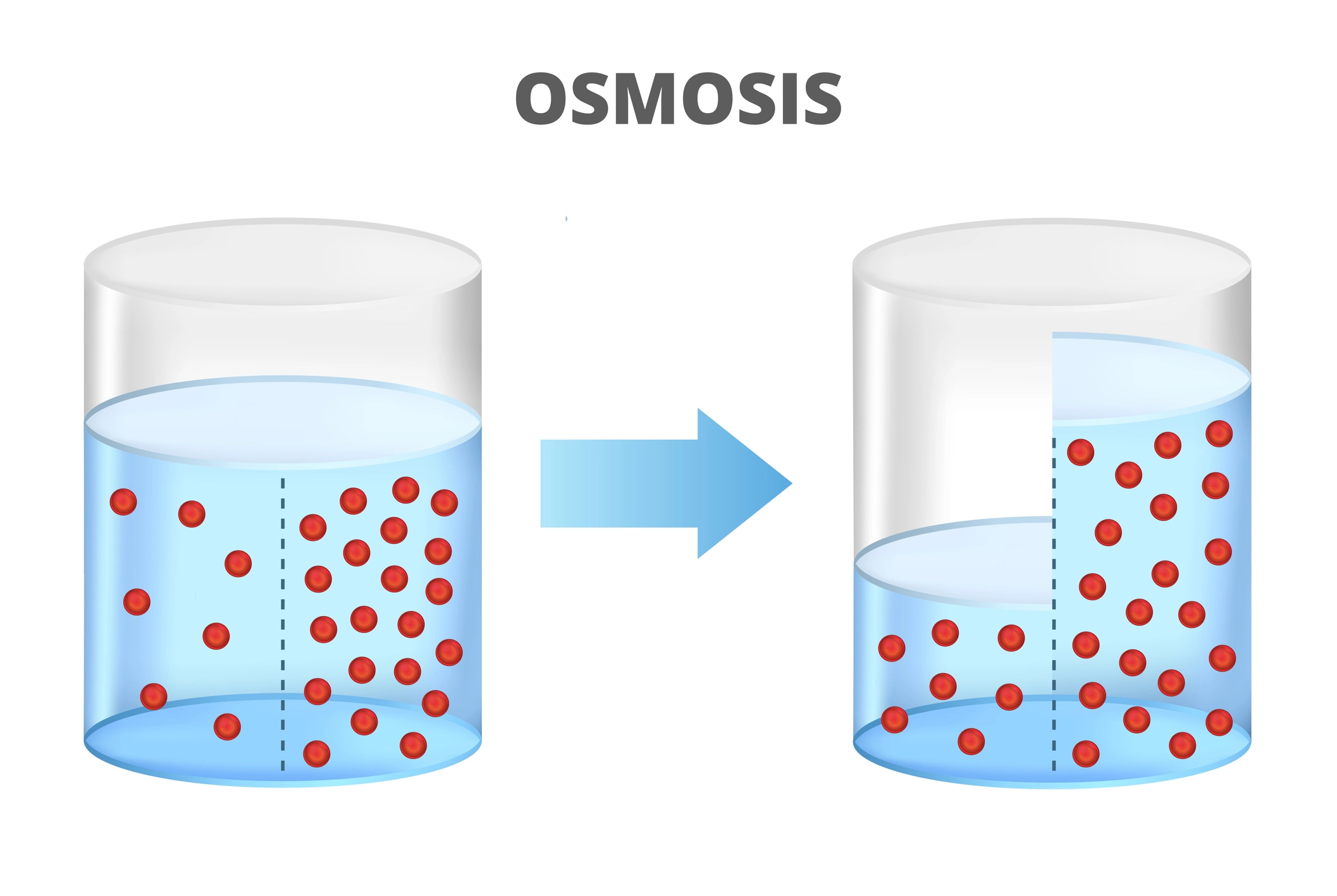 Osmosis- referencial-conductividad-electrica-blog-cheming