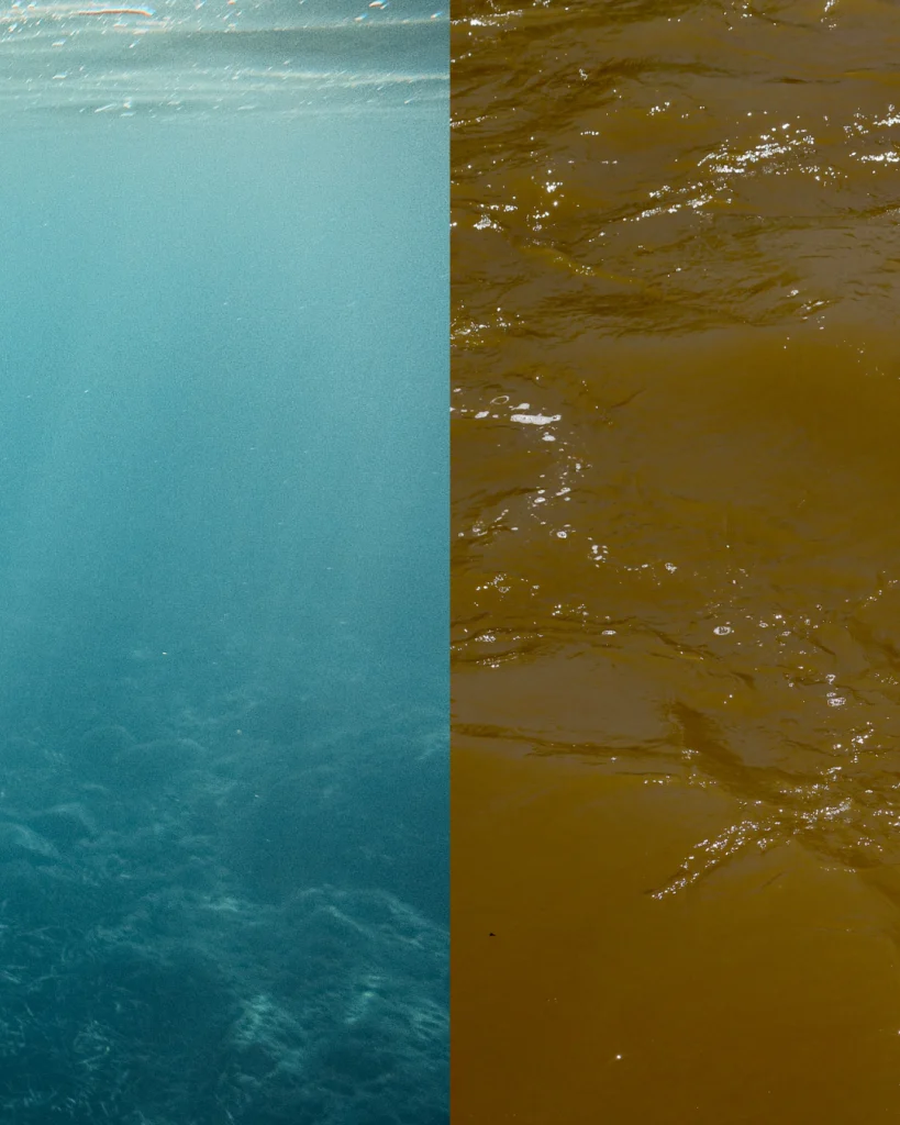 AGUA LIMPIA Y AGUA CONTAMINADA